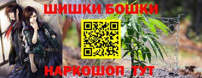 бошки Будённовск