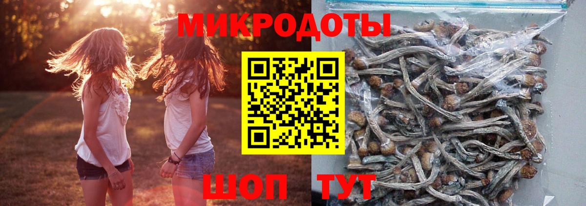 Волоколамск  продажа наркотиков  Галлюциногенные грибы Psilocybe  Вход с VPN  Галлюциногенные грибы мицелий 