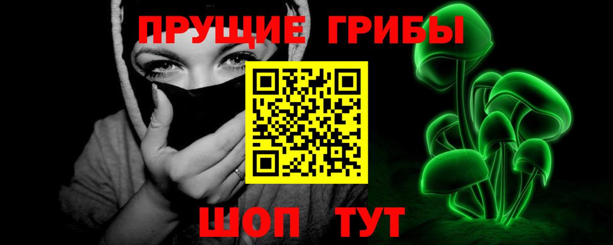 Галлюциногенные грибы прущие грибы Волоколамск